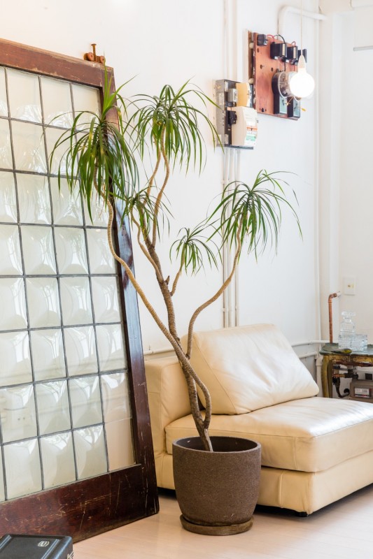 Интерьер просторных светлых апартаментов