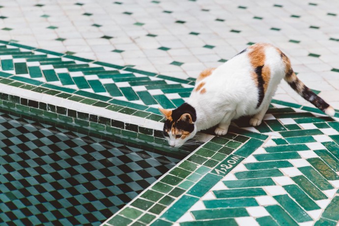 Отель Le Riad Yasmine в Марракеше, Марокко