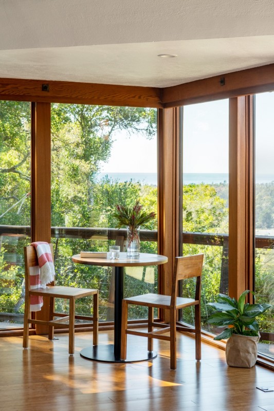 Панорамный вид на лес в уединенном "домике" на дереве Панорамный вид на лес в уединенном "домике" на дереве