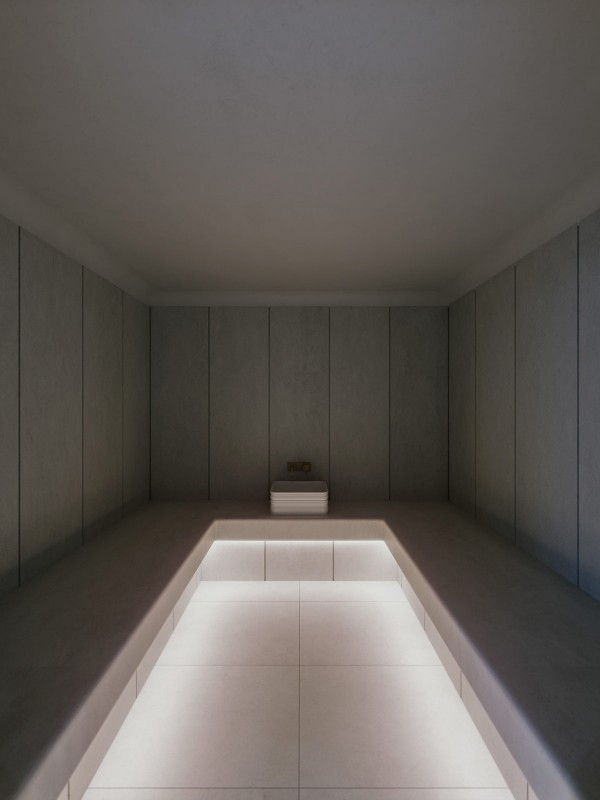 Современный загородный дом с бассейном и спа Современный загородный дом с бассейном и спа