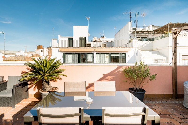 Светлые, изысканные апартаменты с террасой на крыше