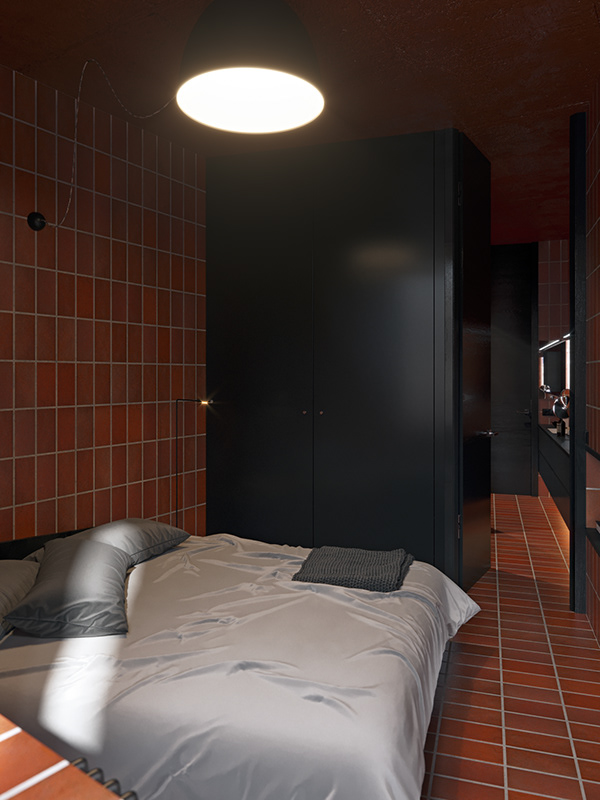 Акцентная стена в интерьере литовской квартиры