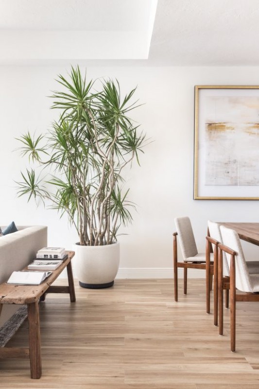 Функциональный интерьер стильного пентхауса в Майами Функциональный интерьер стильного пентхауса в Майами