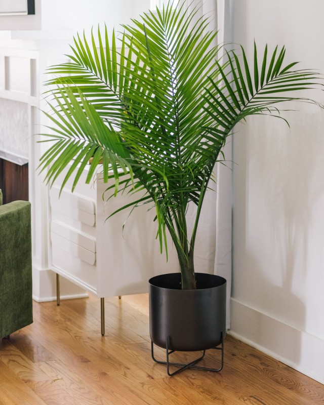 Сочетание винтажа и модерна в интерьере дома в Нашвилле, Теннесси