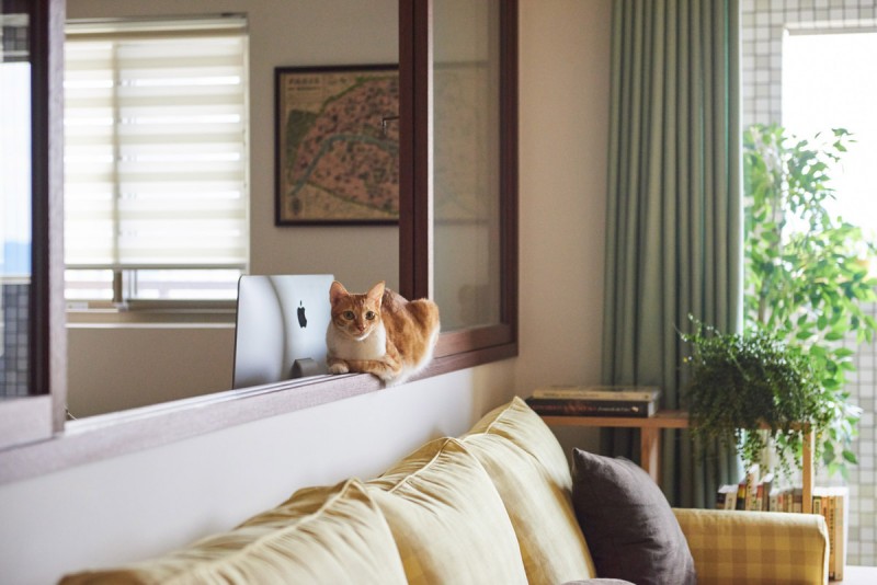 Интерьер дома в Тайбэе Интерьер дома в Тайбэе