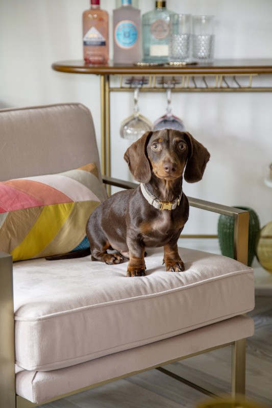 Интерьер уютной гостиной в лондонском таунхаусе