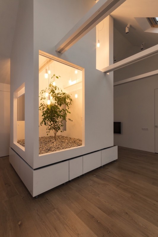 Мини-сад в многофункциональной квартире