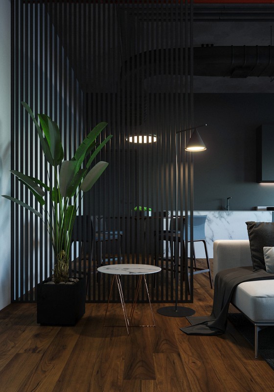 Апартаменты в минималистском стиле Апартаменты в минималистском стиле