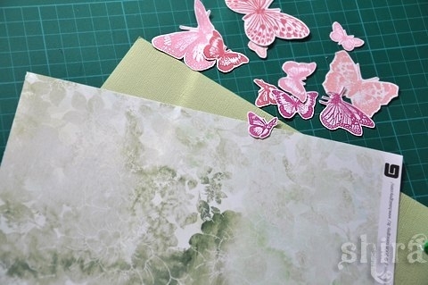 Pop открытка - бабочки