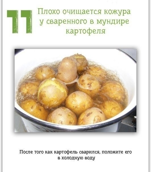 Идеи для жизни Идеи для жизни