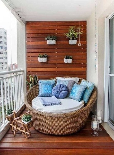 Идея для оформления стенки с растениями на балконе