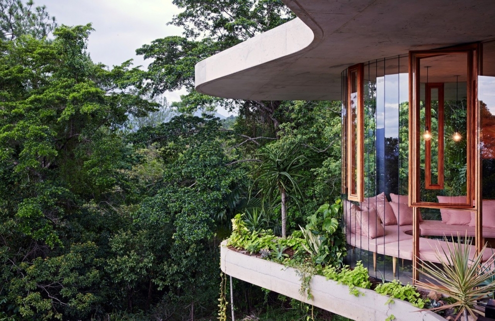 Стеклянный дом в тропическом лесу