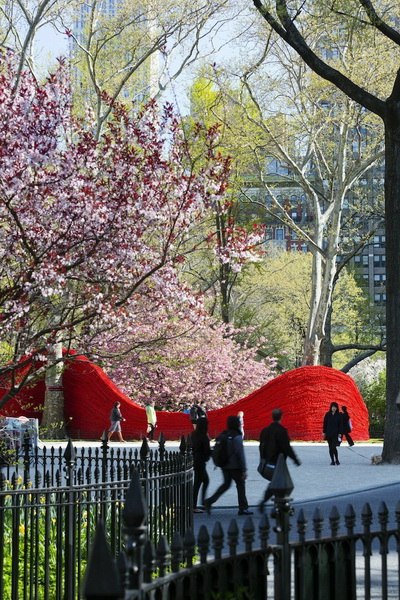 ​Красочная инсталляция из веревки в Нью-Йорке