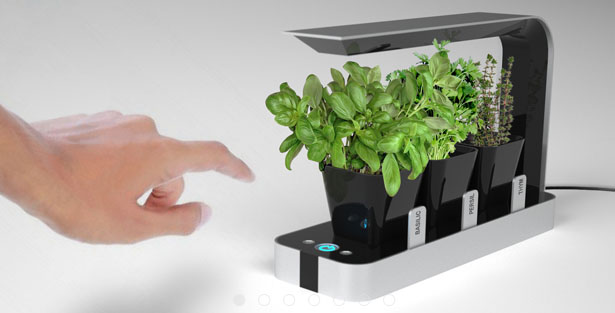 К вопросу о домашнем огородике: от примитивных до Kitchen Nano Garden