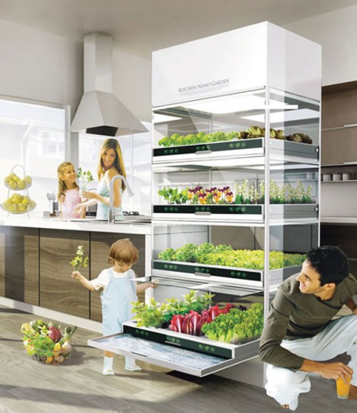 К вопросу о домашнем огородике: от примитивных до Kitchen Nano Garden