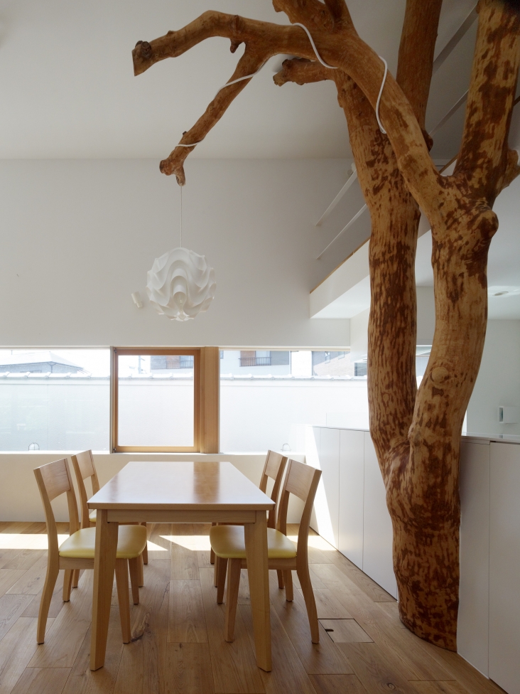 Garden Tree House  в Японии от Hironaka Ogawa & Associates