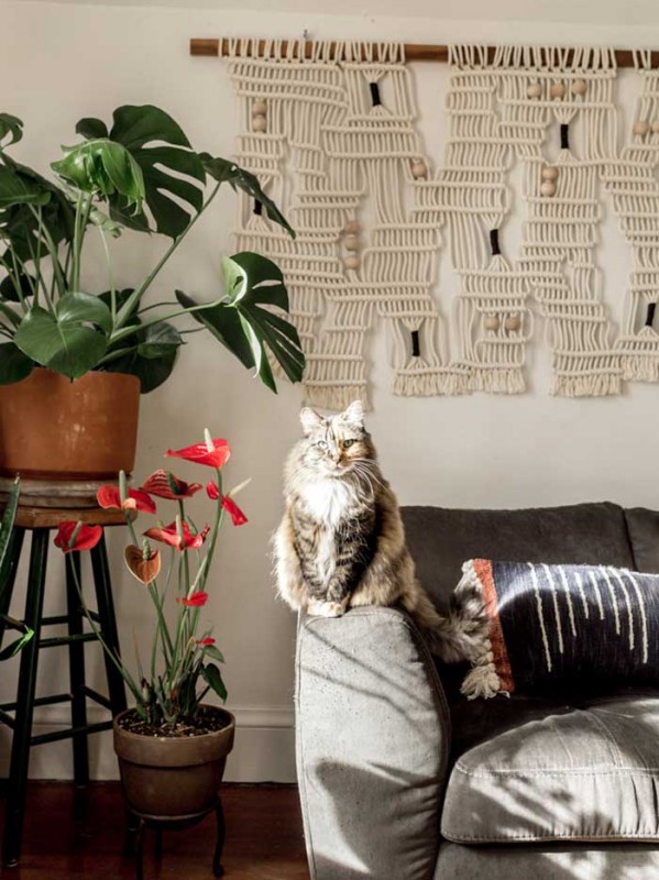 Апартаменты владелицы компании по&nbsp; цветочному дизайну SELVA Floral Design в Портленде, Орегон