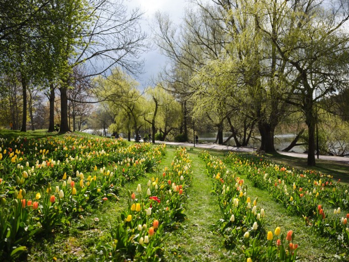 Квартира площадью 113,5 м2 в Стокгольме