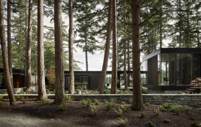 Дом в лесу на острове Уидби в штате Вашингтон