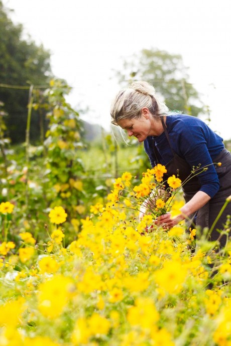 Поместье садовода и владелицы компании The Land Gardeners Бриджит Элворти в Оксфордшире