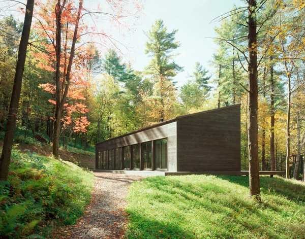 Современный дом в лесу недалеко от Нью-Йорка