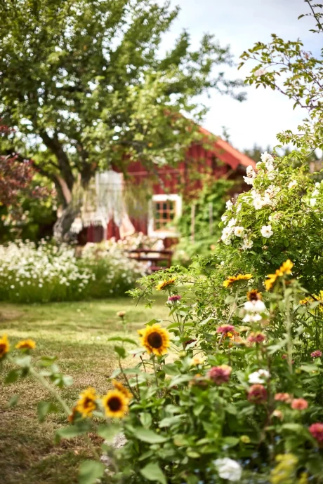 Дача флористов Йохана и Малин Мюнтер в шведской провинции Эстергётланд