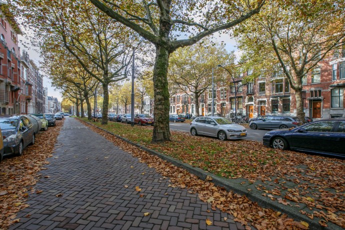 Таунхаус в Роттердаме, Нидерланды