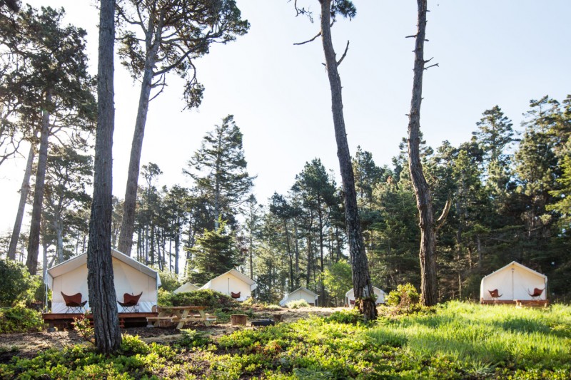 Палаточный лагерь Grove Mendocino на калифорнийском побережье