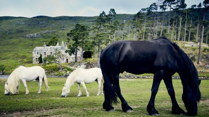 Поместье Glen Affric в Шотландии