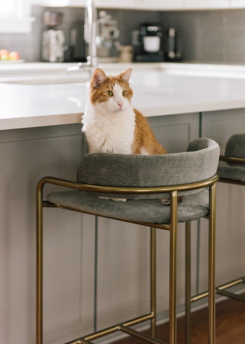 Особняк в Нашвилле, Теннесси Особняк в Нашвилле, Теннесси