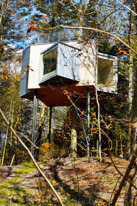 Дом на дереве площадью 28 м2 на датском полуострове Ютландия