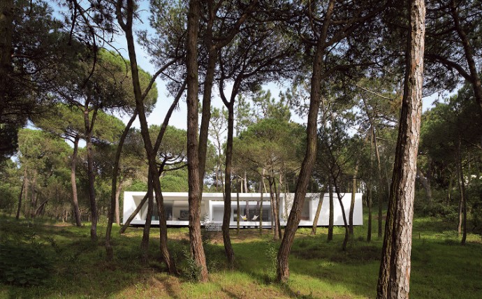 Дом посреди леса в Синтре, Португалия