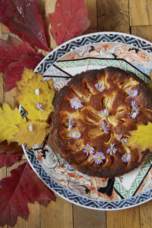 Небольшая уютная хижина в лесу