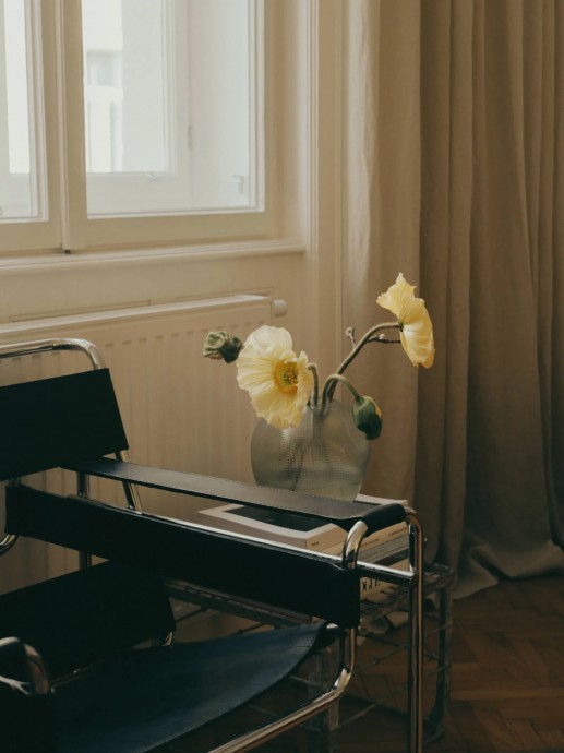 Квартира фотографа Терезы Кайндль в Вене (55 м2)