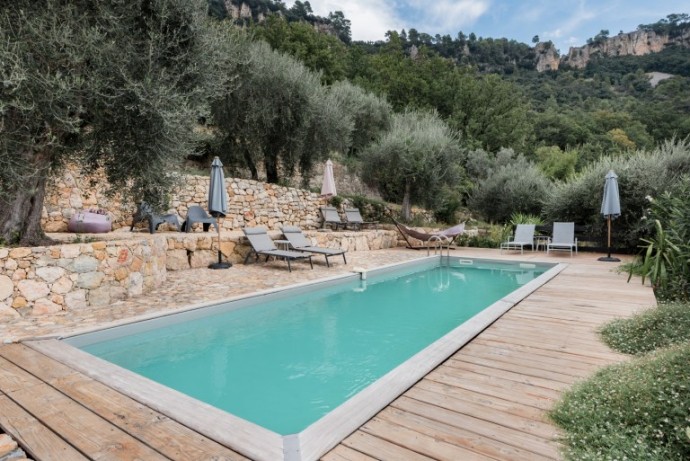 Дом с бассейном в окружении оливковых деревьев в Провансе