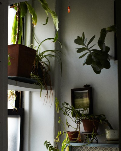 Квартира дизайнера Ребекки Бартошески в Нью-Йорке Квартира дизайнера Ребекки Бартошески в Нью-Йорке