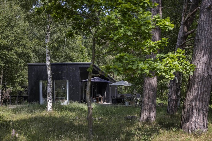 Дом площадью 65 м2 посреди леса в Дании