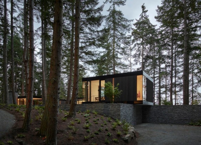 Дом в лесу на острове Уидби в штате Вашингтон