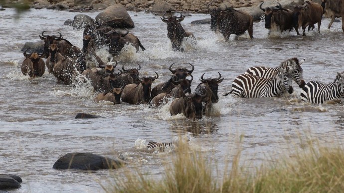 Лодж на реке Сингита Мара в национальном парке Серенгети, Танзания