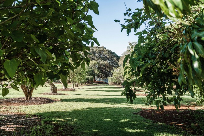 Красочная загородная усадьба недалеко от Сиднея
