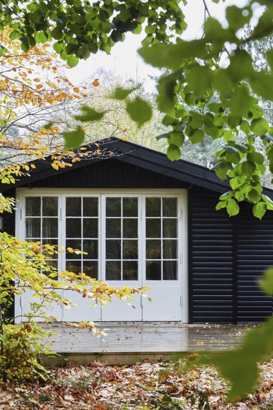 Небольшая уютная хижина в лесу