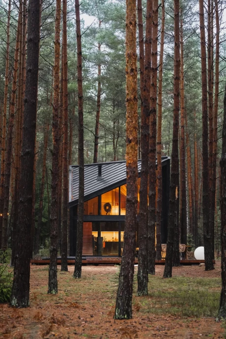Загородный дом площадью 40 м2 посреди леса в Польше