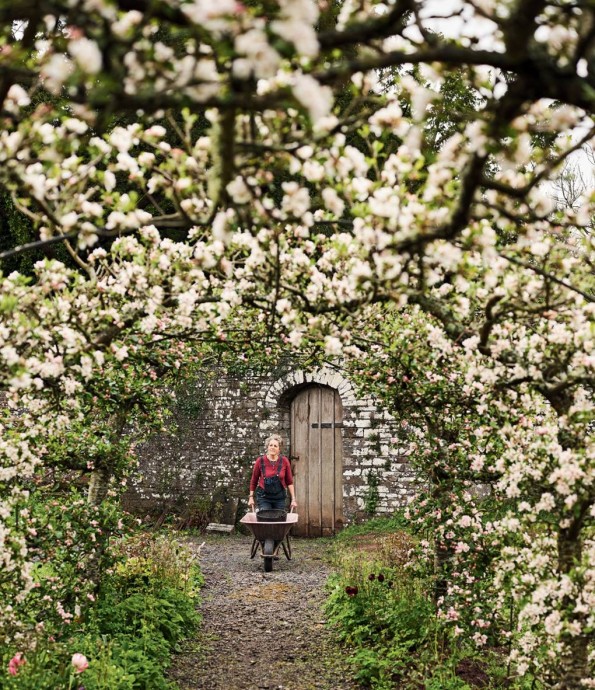 Поместье в британском парке Брекон-Биконс, принадлежащее семье Хогг на протяжении 350 лет
