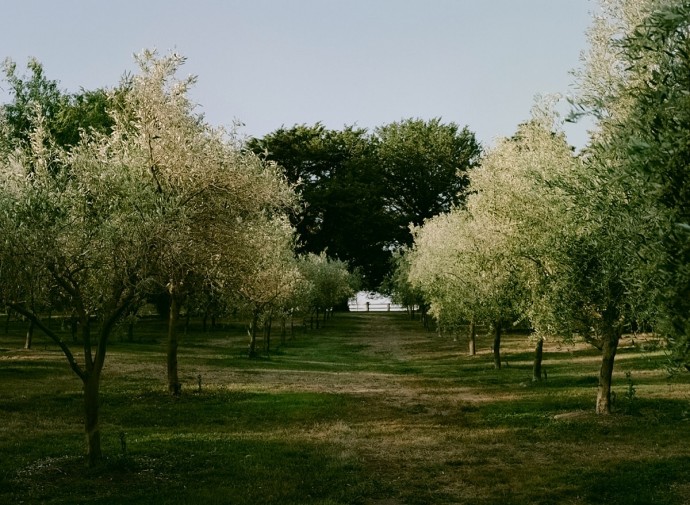 Арендное жильё Wollumbi Estate в небольшом австралийском городке Марулан