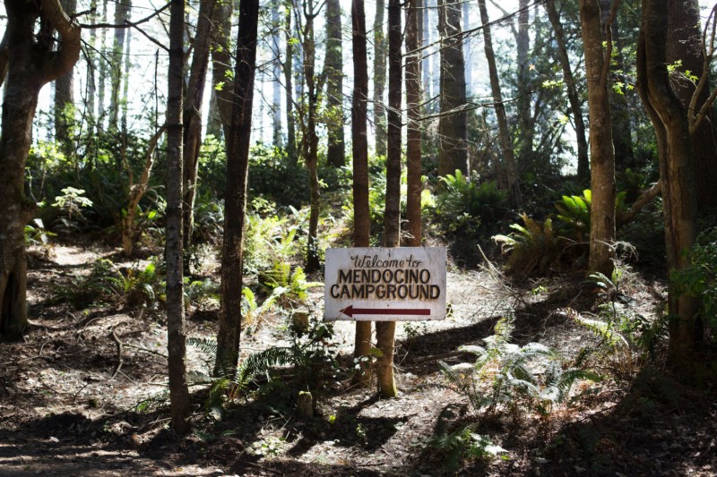 Палаточный лагерь Grove Mendocino на калифорнийском побережье