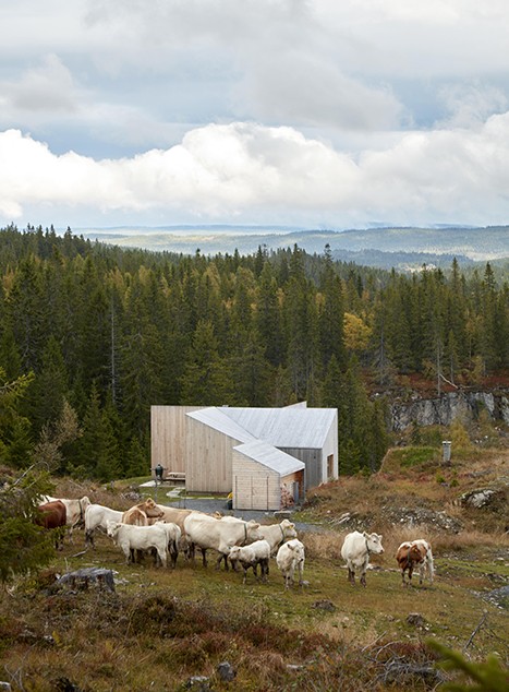 Уединенный семейный дом в Норвегии