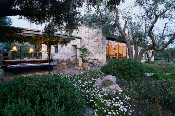 Современный каменный дом с видом на оливковые рощи в Апулии, ИТалия