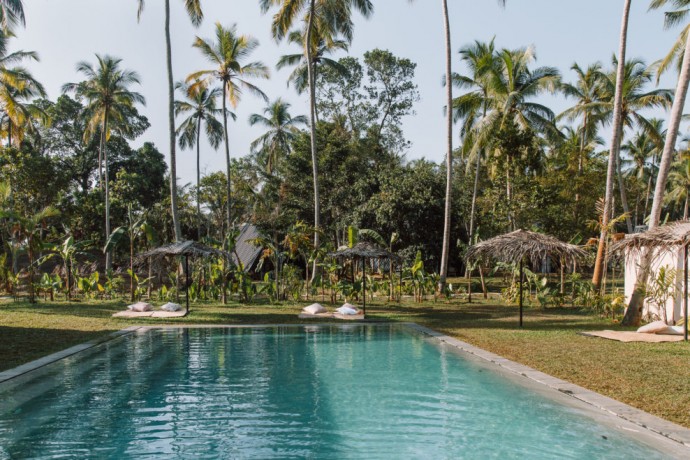 Отель Palm на Шри-Ланке