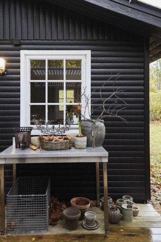 Небольшая уютная хижина в лесу