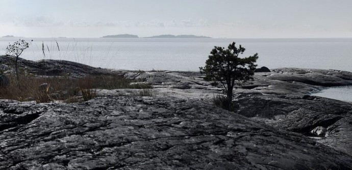 Охотничий домик на берегу Финского залива недалеко от Хельсинки